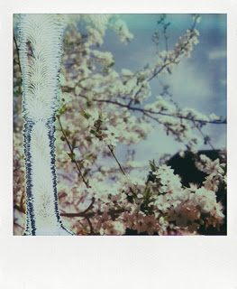 Polaroid the impossible project
