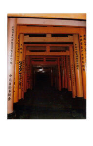 Polaroid of red torii of fushimi inure in Kyoto, Japan