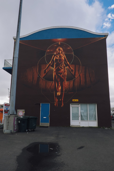 reykjavik-iceland-street-art-wall-poetry-tour-9