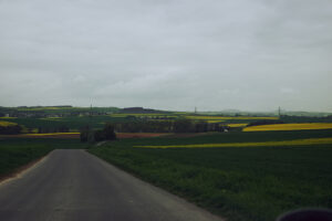 Rapsfelder