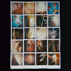 Polaroid Collage