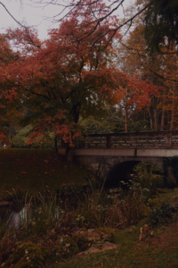 Brdo Park in Slowenien