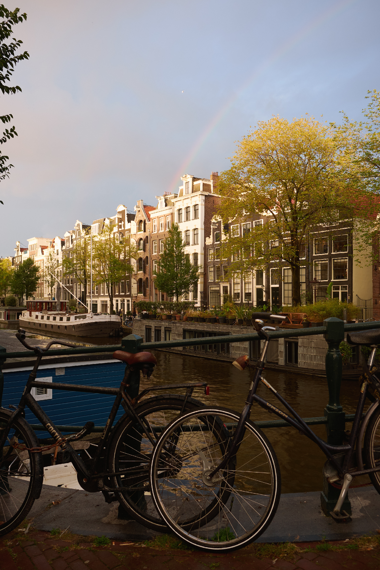 Alte Häuserfronten mit Fahrrad im Vordergrund und Regenbogen im Hintergrund in Amsterdam in den Niederlanden
