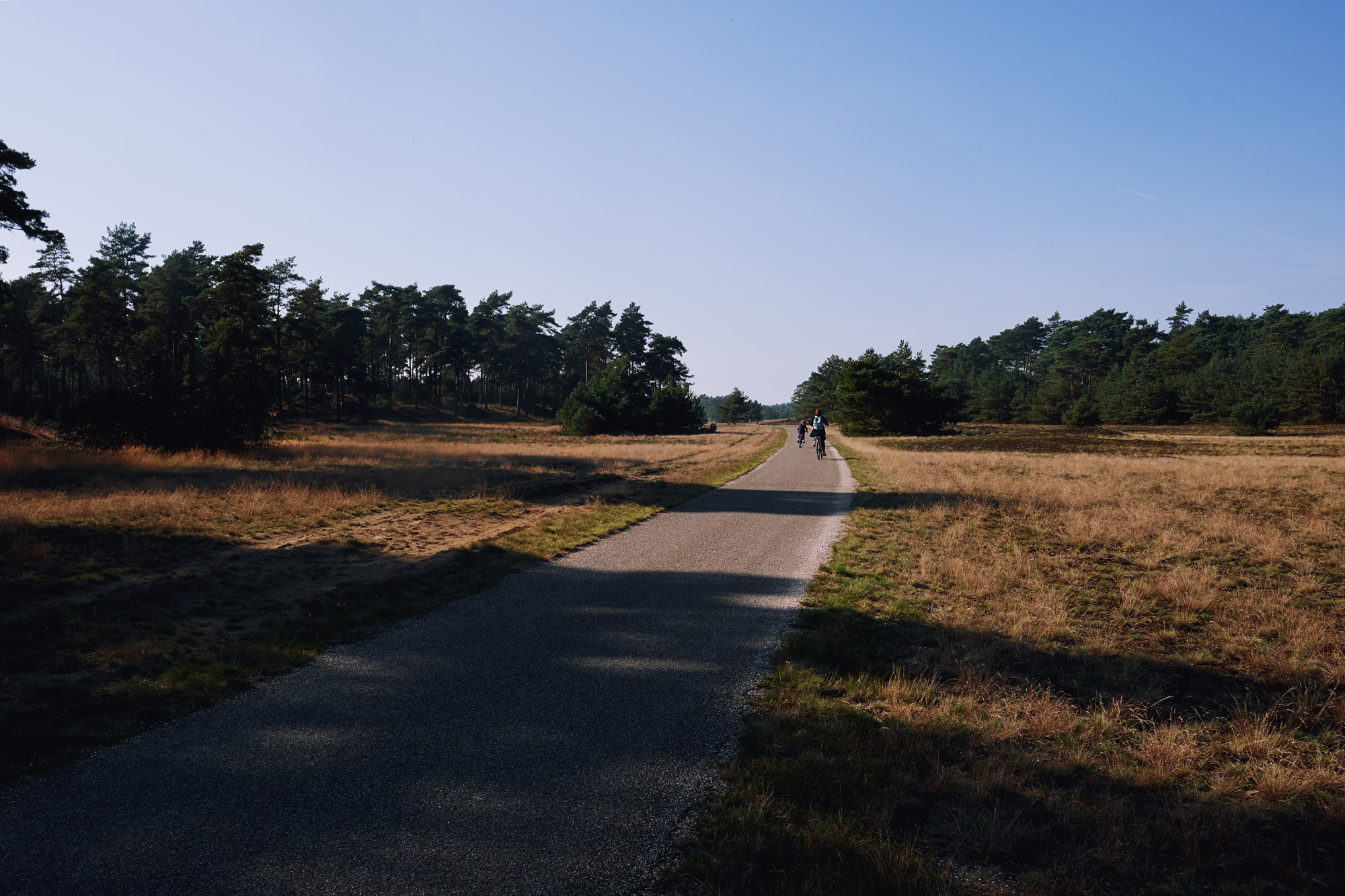 Nationalpark De Hoge Veluwe in den Niederlanden