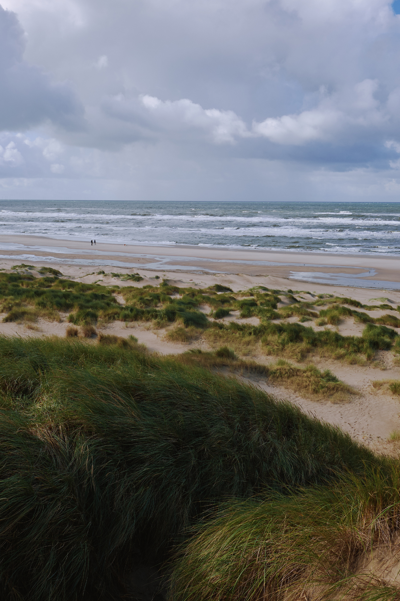 Rundwanderung durch die Schoorlse Duinen in den Niederlanden. Foto mit Meer, Dünen und Gras.